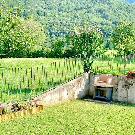 Strawberry House 콜리코