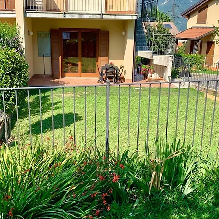 Strawberry House 콜리코